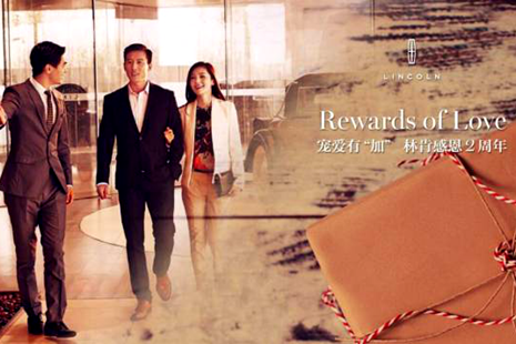 合肥海康达林肯感恩2