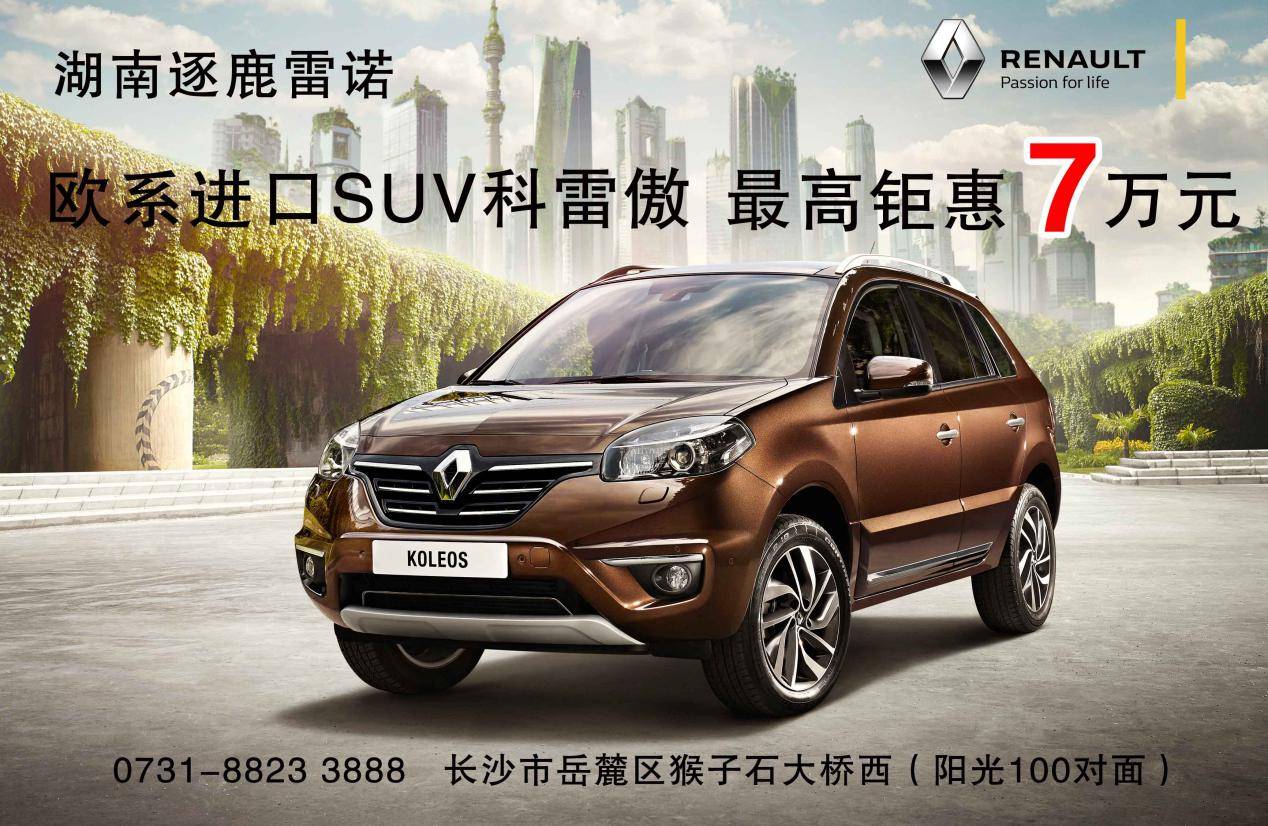 进口雷诺疯狂特价