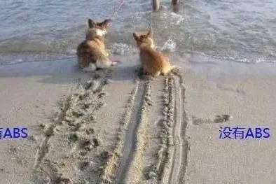 必看！有这些配置的车，才算安全！