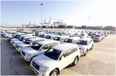 显微镜下的“平行进口汽车”