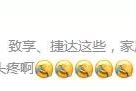 10万元不选SUV，想要省油好开配置高，有哪几款最合适？