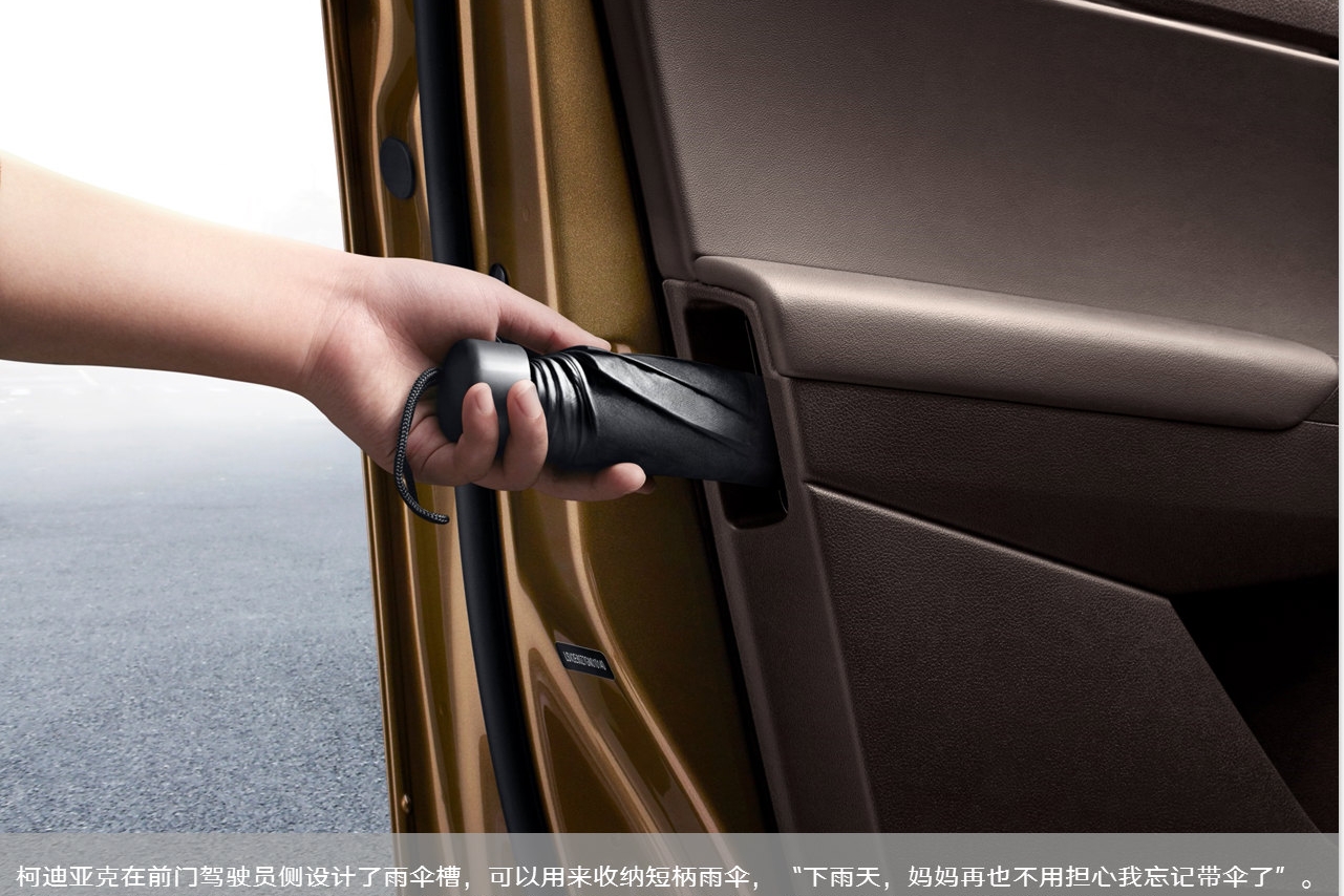 柯迪亚克：没什么是