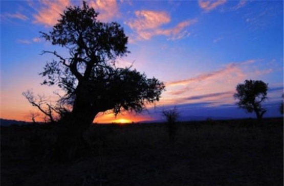 骑游胡杨林9月，带你