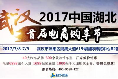 2017首届电商购车节