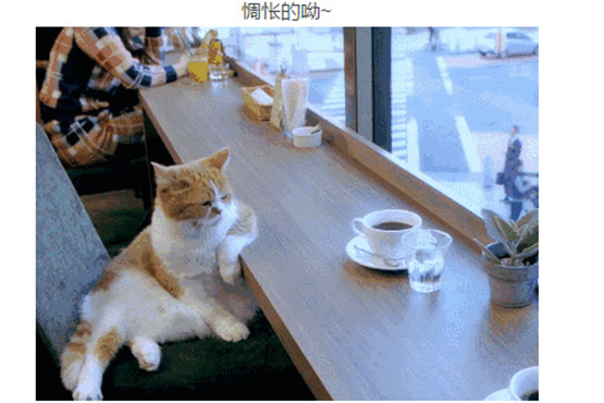 Jeep 全系车型无底价