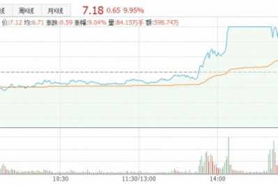 新能源车利好 碳博士
