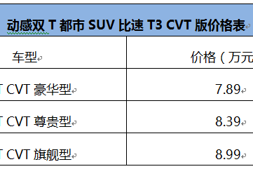 比速T3自动挡增配上