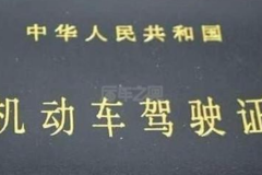 中国的驾照在哪些国家可以使用？这些国家都承认！