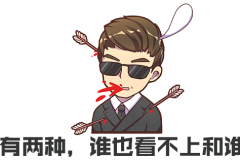 花A级车的钱有B级车的逼格