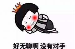 领克01比拼本田CR-V 网红新贵能否赢过畅销合资SUV