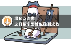 扮猪吃老虎，这几款车型神似独孤求败