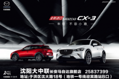 9日沈阳大中联马自达CX-3上市会圆满落幕