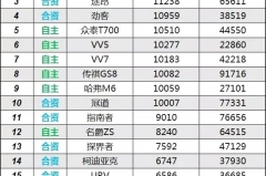 年销量将突破1000万！盘点那些夺了别人份额的新SUV