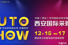 要买平行进口车西安 年终采购车展给你优惠