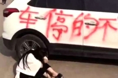 一女子下车去买东西，出来就坐在地上哭！