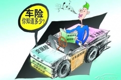 汽车全险太贵？不要存侥幸心理，这四种车险还是必须要买！