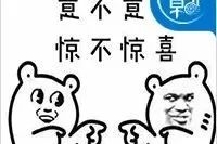 万万没想到，2017年自主品牌发生了这么多大事