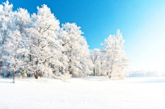 想冬季自驾去看浪漫的雪景？那么这几款SUV你别错过了