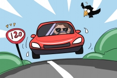 不吹德系，不黑日系！美、日、德造车谁更靠谱？