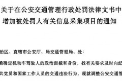 违章将调查车主背景？违章后将影响自己及下一代的工作和生活！