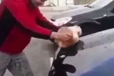 【汇·资讯】俄罗斯一男子，竟用流浪猫浸水洗车