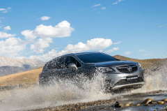 辛苦工作一年，开这几款车回去丈母娘笑了！