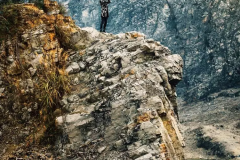 我们这一生，都走在回家的路上