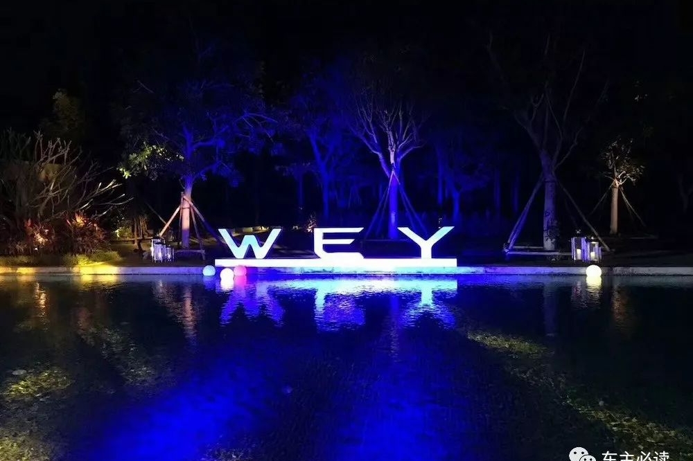 两万字| WEY·元年·纪