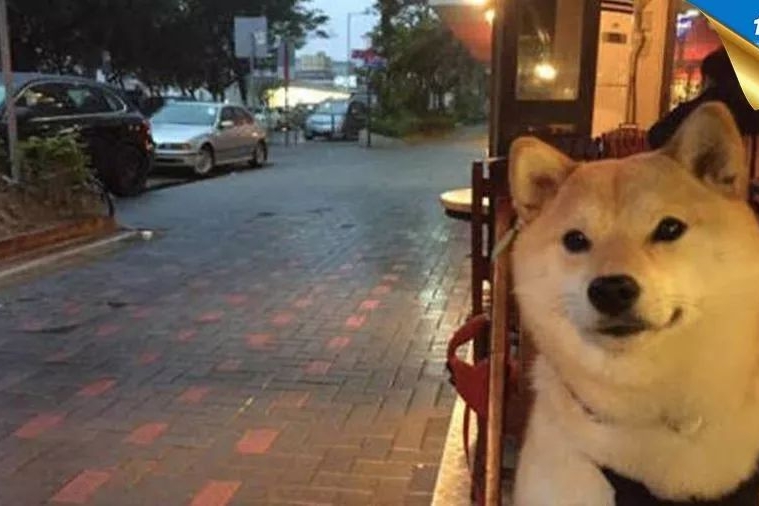 单身狗勿看！今年情人节必须有的《车震姿势大全》