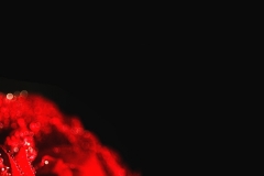 这样的爱情，好美。