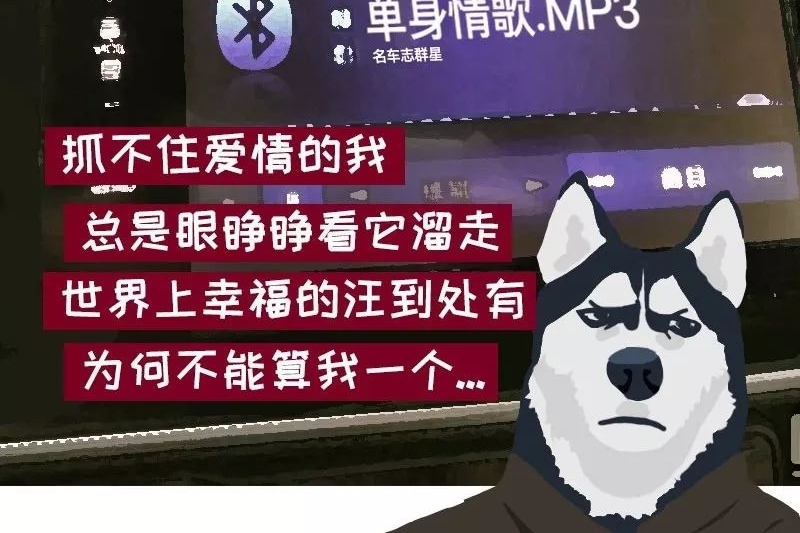 超速的男人大多单身