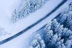 做汽车不做新能源是死路一条，做新能源靠政策还是死路一条！