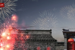 今天，拜大年。