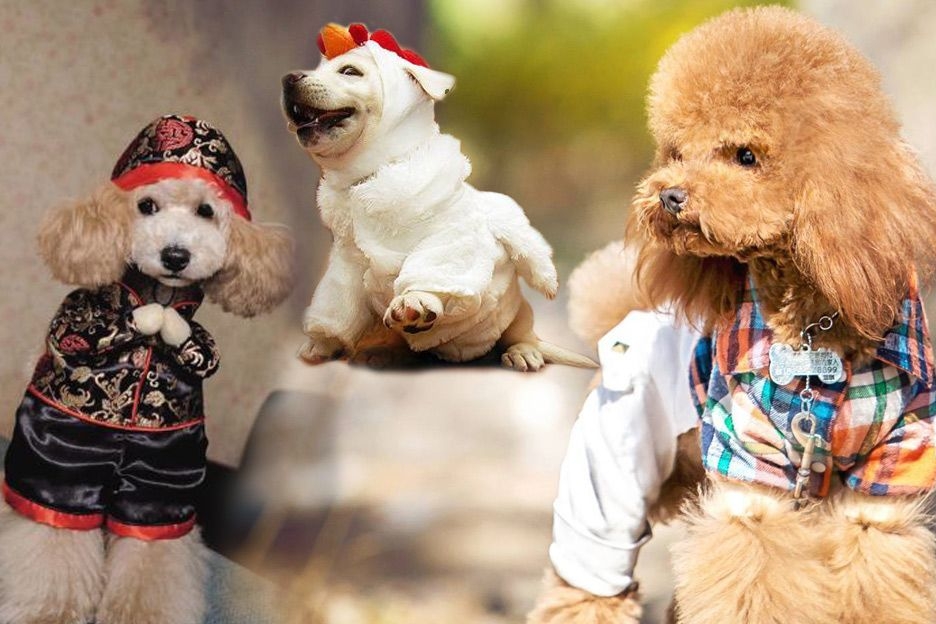 2018年最值得期待的几款新车，快来看看有没有你的车！