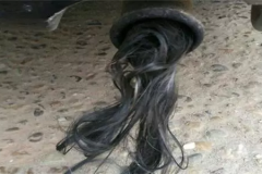 惊悚！汽车排气管有大量“女人头发”！你的车里也有......