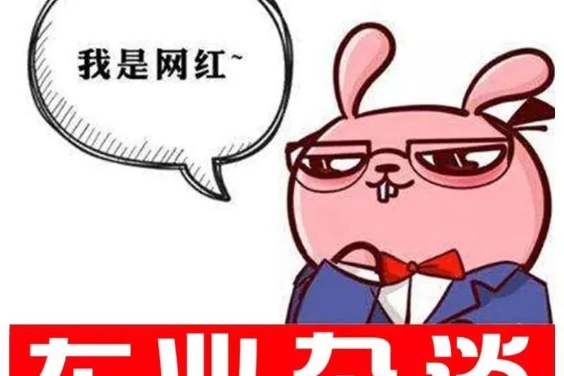 网红见了这么多，那网红车你又见了多少呢？丨车业杂谈