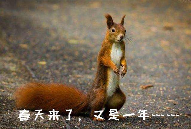 买车的赶紧看看！最近上市的新车都在这