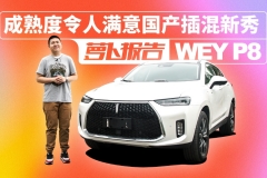 成熟度令人满意 国产插混新秀WEY P8