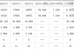 老司机“有话要说”：思域为什么这么红？