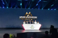 长城高层专访——一条进入安全深水区的孤狼