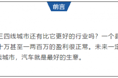独家对话丨牛牛汽车陈琰俊：扎堆到三四线卖车，做什么赢面大？