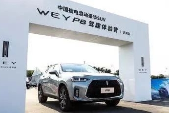 百公里加速6.5秒，极速230km/h，纯电续航50公里，这款四驱豪华SUV不到30万