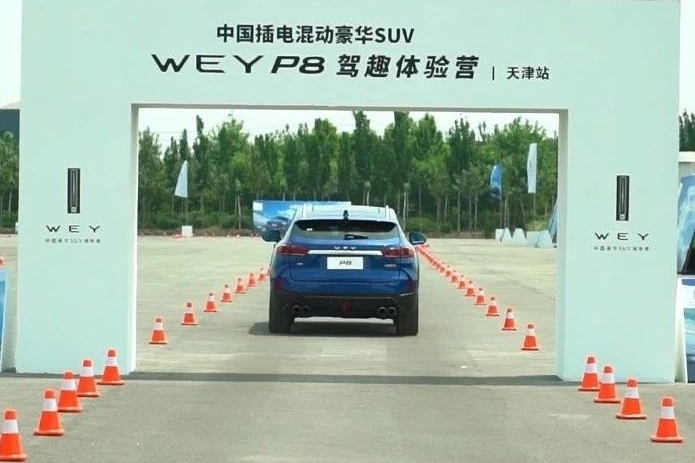 WEY P8：明明可以靠脸吃饭，结果偏偏这么有内涵