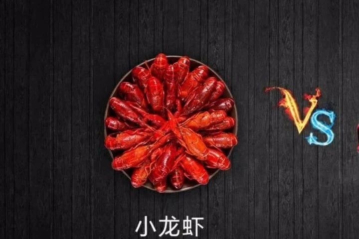 【四驱合资SUV】每500克居然比小龙虾还便宜！