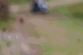 新品评测：有颜值能爬坡，承重1200斤可劲造！它是谁？