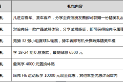 喜迎世界杯盛宴 购哈弗享六重好礼