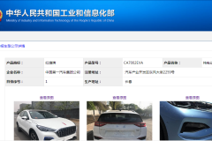 Y字型进气格栅+飞机档杆 帅过奥迪Q5 红旗新SUV要火？