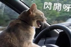 你知道汽车上有哪些很难发现，却很实用的功能吗？