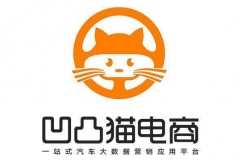 精准数据助力汽车营销 线上线下打通真实成交