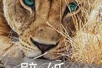 今天有点杂